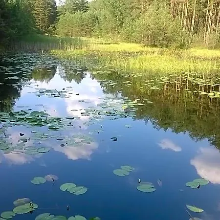 U Anny I Lukasza Orman Evi